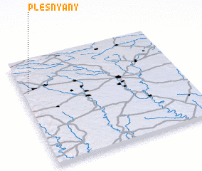 3d view of Plesnyany