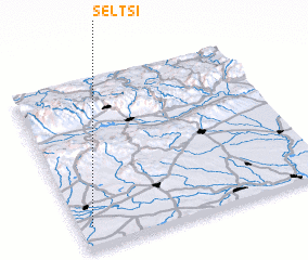 3d view of Seltsi