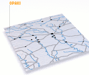 3d view of Opaki