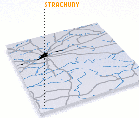 3d view of Strachuny