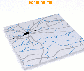 3d view of Pashkovichi