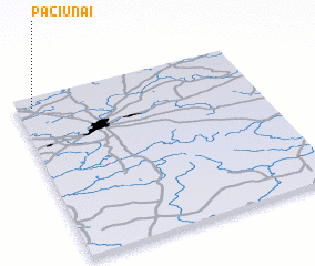 3d view of Paciūnai