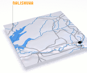 3d view of Nalishuwa