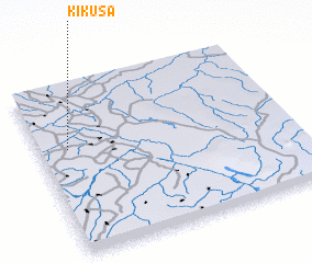 3d view of Kikusa