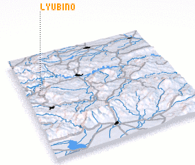 3d view of Lyubino
