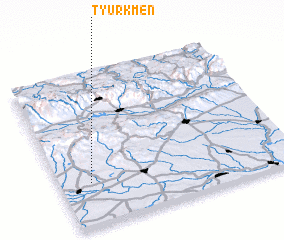 3d view of Tyurkmen