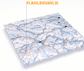 3d view of Plaiul Bîrgăului