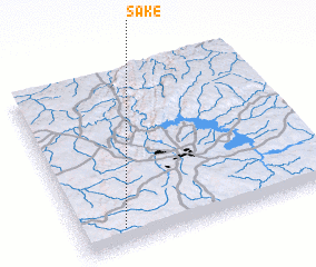 3d view of Sake