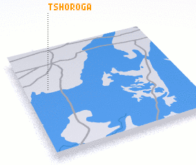 3d view of Tshoroga