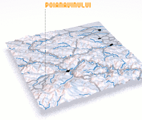 3d view of Poiana Vinului