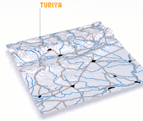 3d view of Turiya