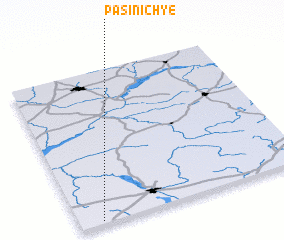 3d view of Pasinichʼye