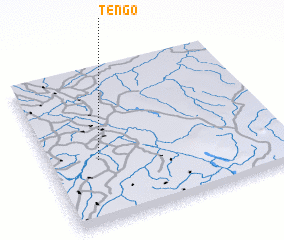 3d view of Tengo