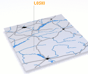 3d view of Loski