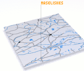 3d view of Maseliškės