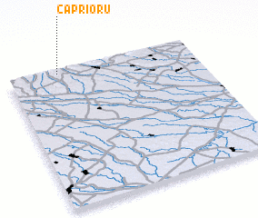 3d view of Căprioru