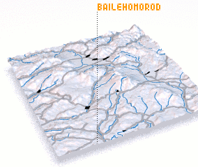 3d view of Băile Homorod