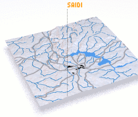 3d view of Saidi