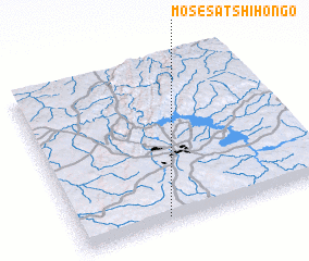 3d view of Mose-Satshi-Hongo