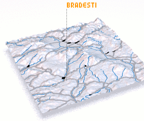 3d view of Brădeşti