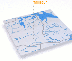 3d view of Tambola