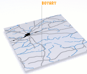 3d view of Boyary