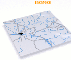 3d view of Bakapoke