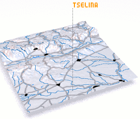 3d view of Tselina