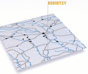 3d view of Repintsy