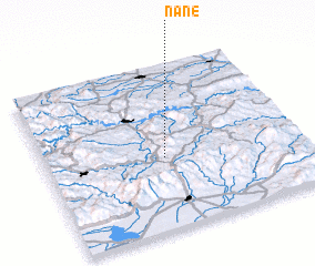 3d view of Nane