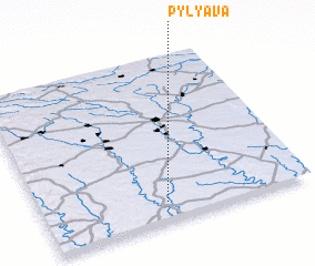 3d view of Pylyava