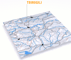 3d view of Tri Mogili