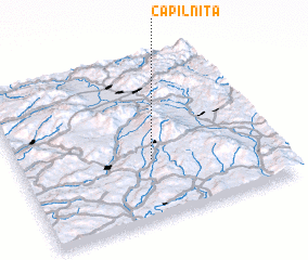 3d view of Căpîlniţa