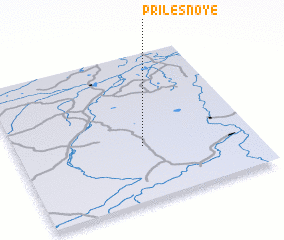 3d view of Prilesnoye