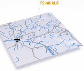 3d view of Tshakala