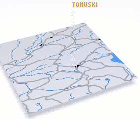 3d view of Tomuski