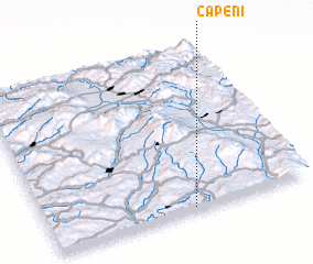 3d view of Căpeni