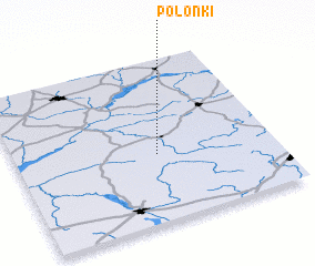 3d view of Polonki