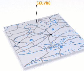 3d view of Selynė