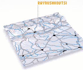 3d view of Raynushkovtsi