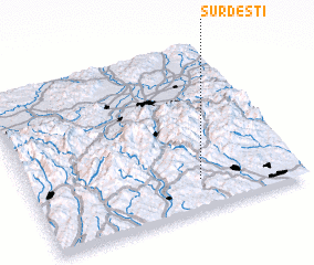 3d view of Surdeşti