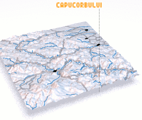 3d view of Capu Corbului