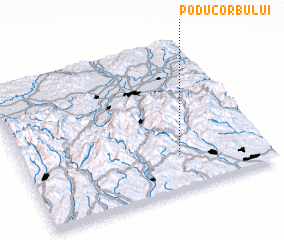 3d view of Podu Corbului