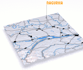 3d view of Nagurka