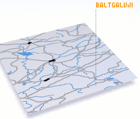 3d view of Baltgalvji