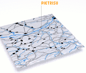 3d view of Pietrişu