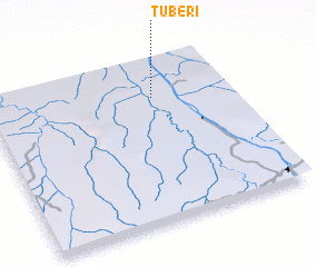 3d view of Tuberi