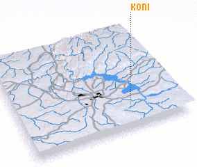 3d view of Koni