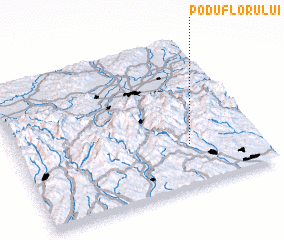 3d view of Podu Florului