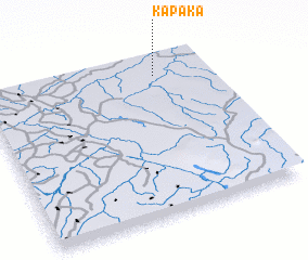 3d view of Kapaka